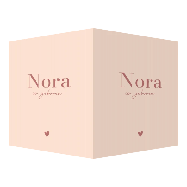 Nora Geblokt Roze Frame