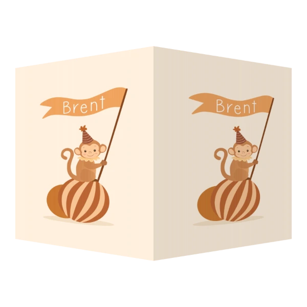 Aapje met Vlag op Bal