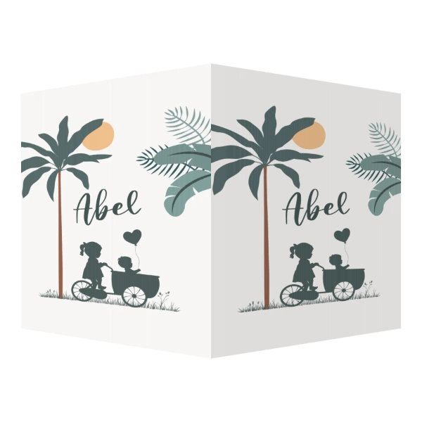 Grote zus met broertje in bakfiets