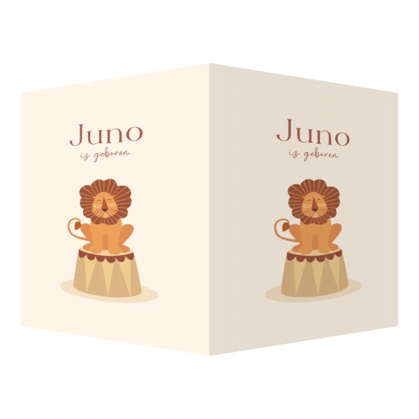 Leeuw met groen bolletjeskader