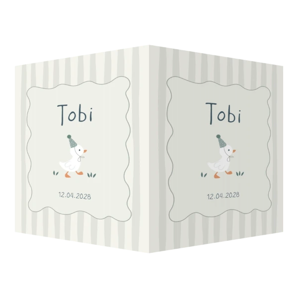 Gansje met feestmuts