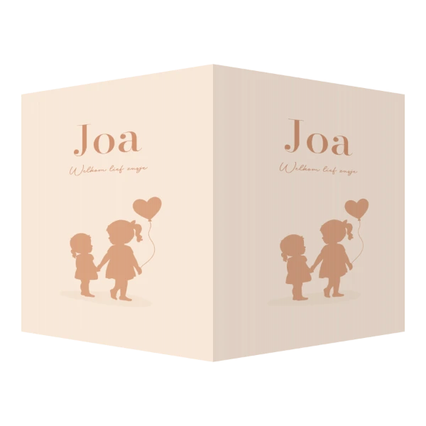 Zusjes met hartjesballon