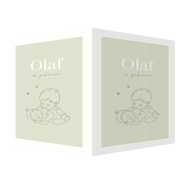 Grote broer met baby