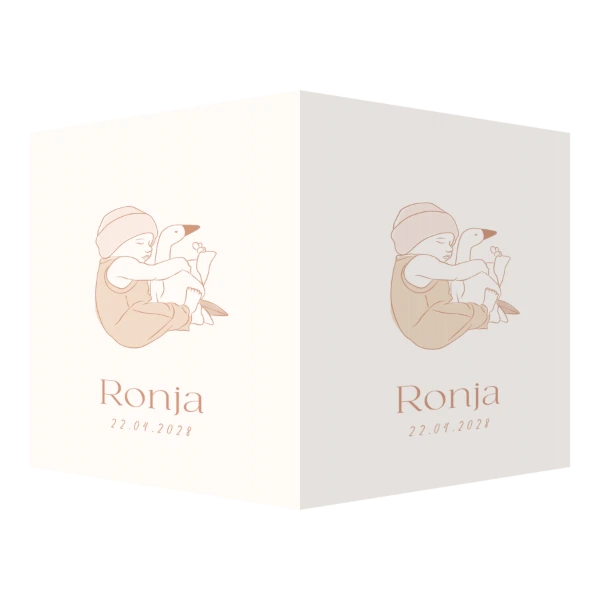 Baby met knuffelgans