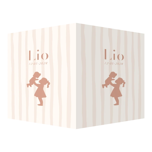 Silhouet grote zus met baby