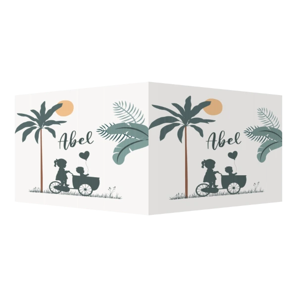 Grote zus met broertje in bakfiets