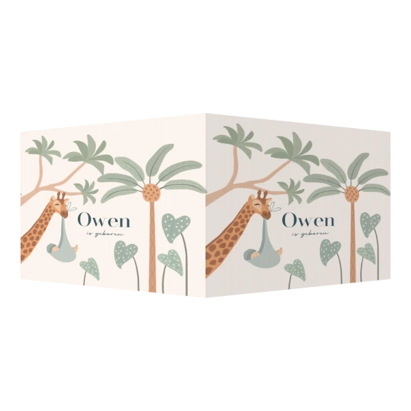 Giraf met baby in draagdoek