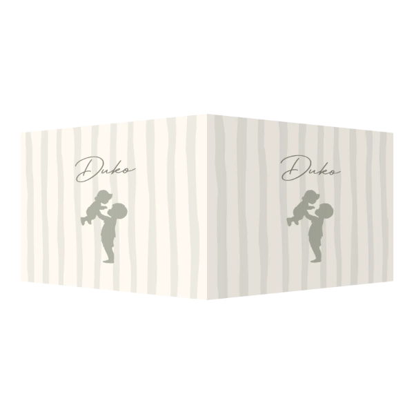 Silhouet grote broer met baby