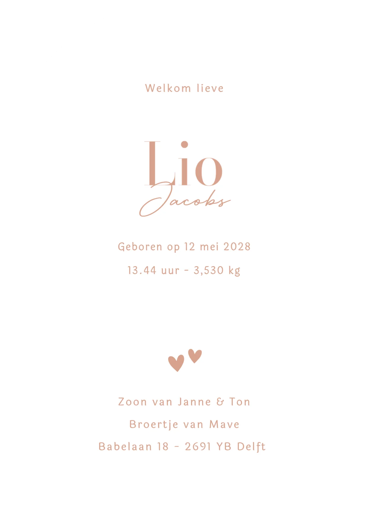 Silhouet grote zus met baby - Terug