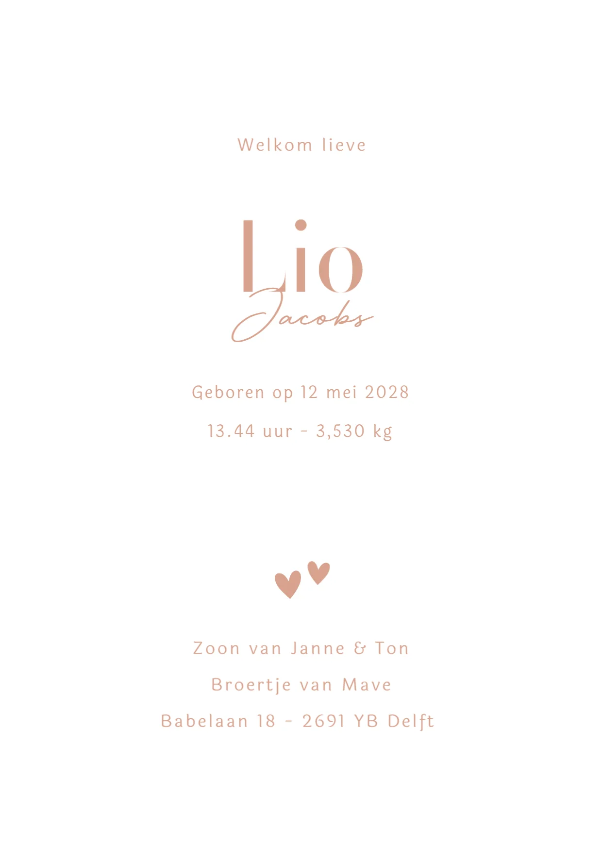 Silhouet grote zus met baby binnenkant