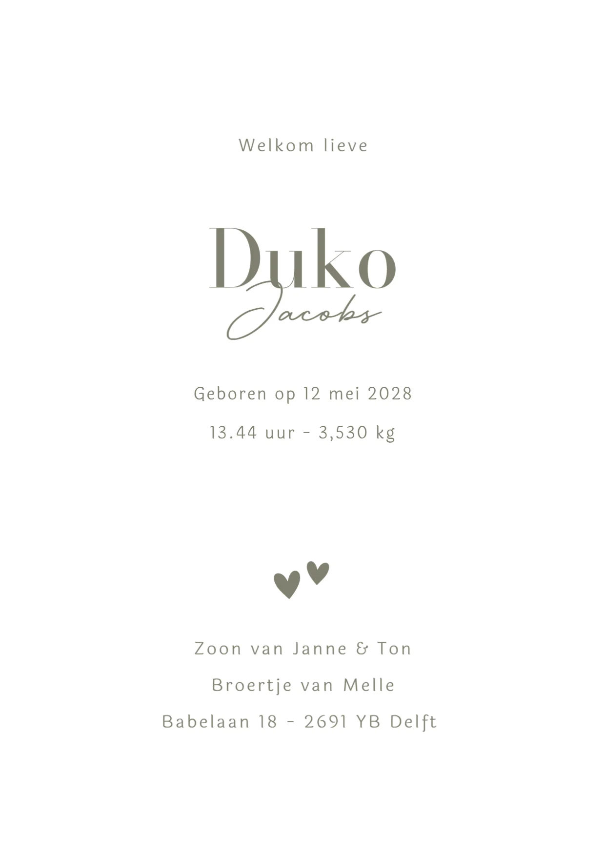 Silhouet grote broer met baby binnenkant