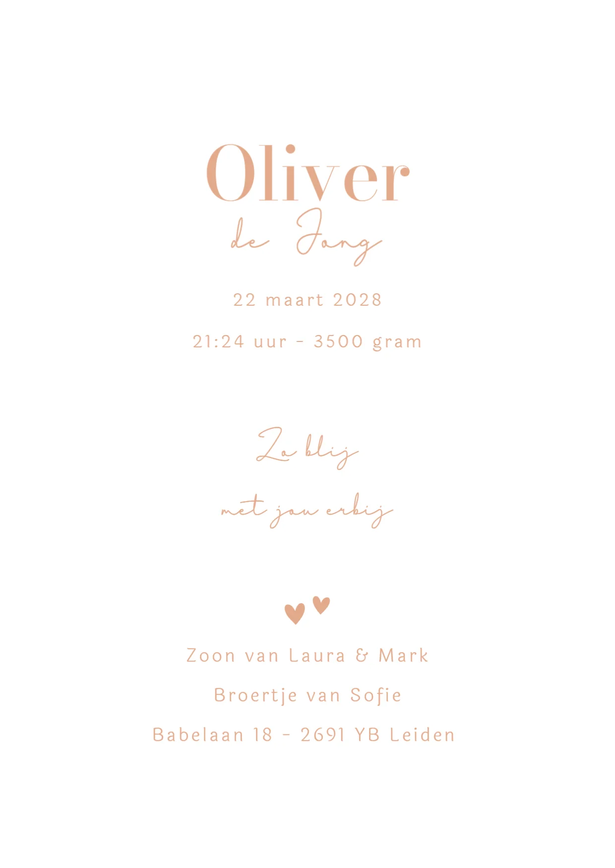 Zusje met baby binnenkant