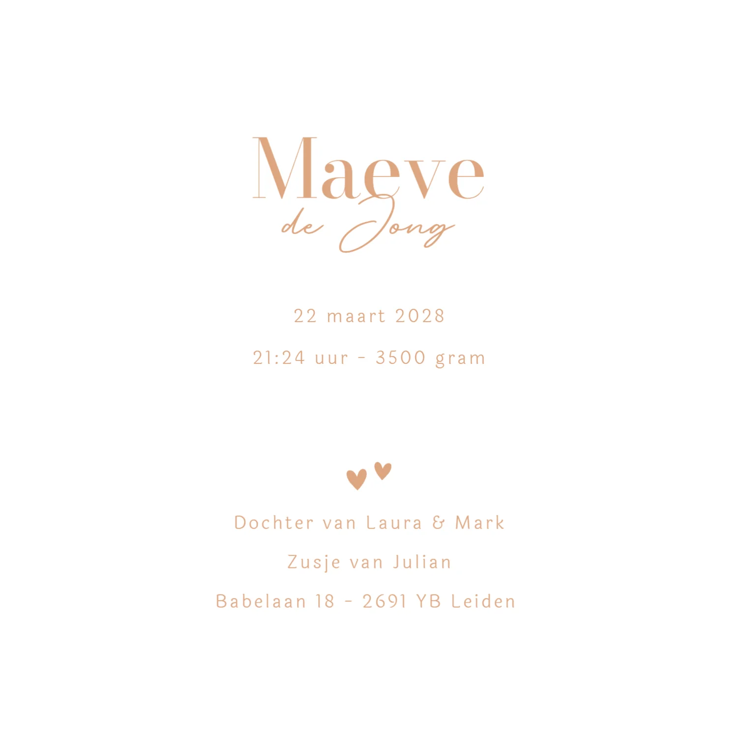 Jongetje met baby - Terug