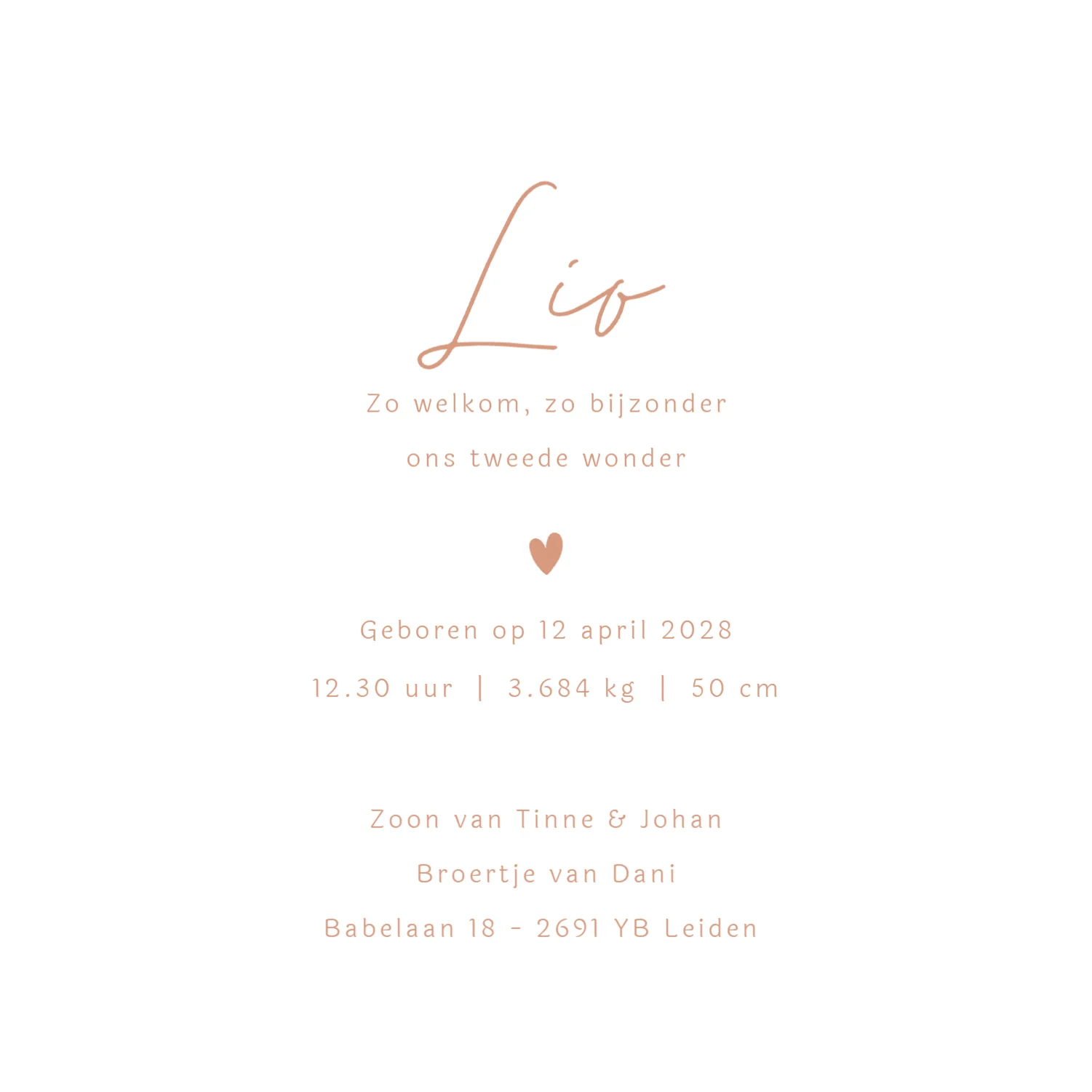 Lijntekening met grote broer binnenkant