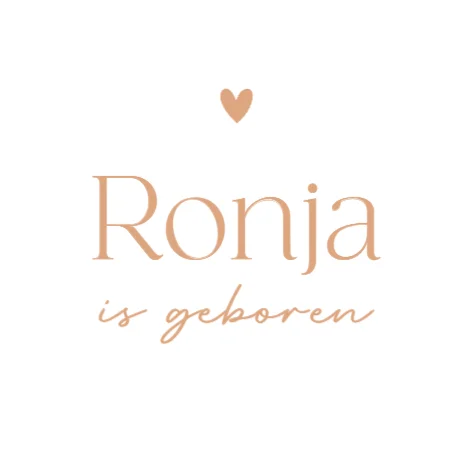 Baby met knuffelgans