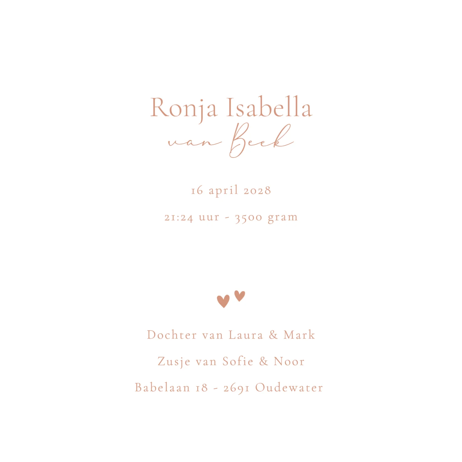 Baby met knuffelgans binnenkant