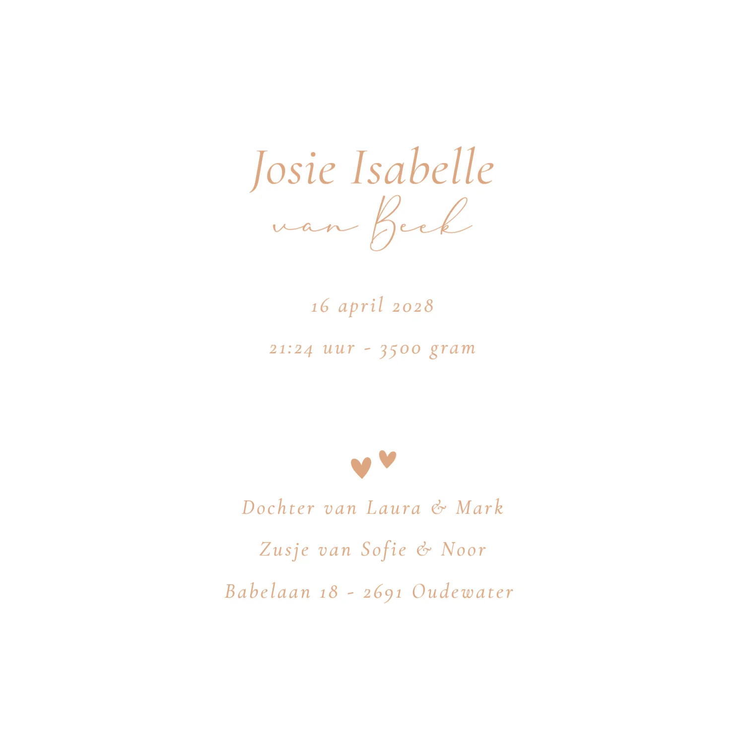 Derde kindje met twee zusjes - Terug