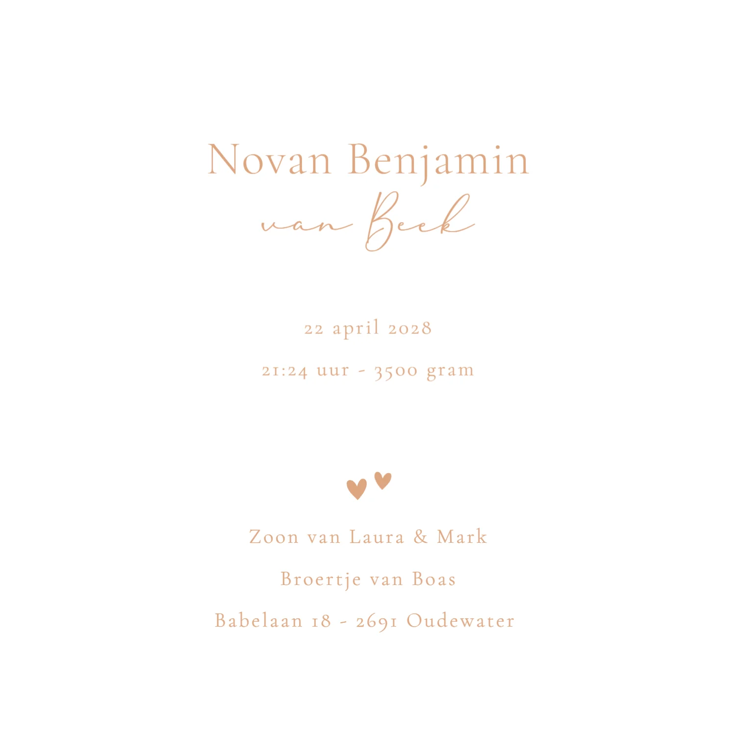 Broertje met baby - Terug