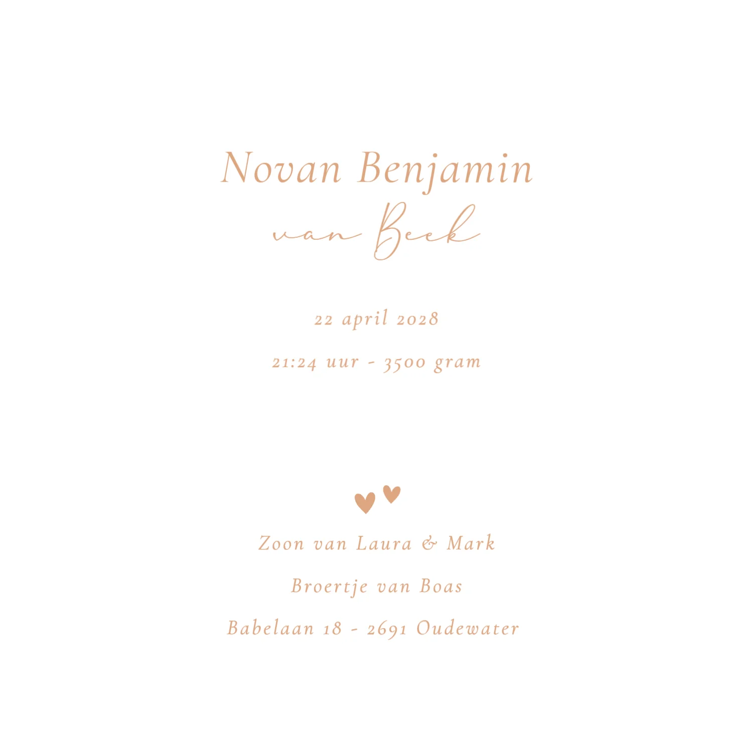 Broertje met baby binnenkant