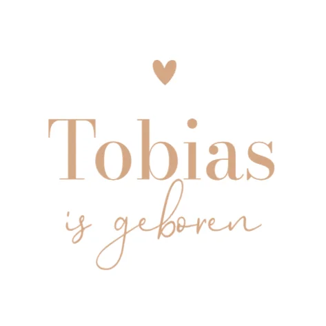 Grote broer met baby