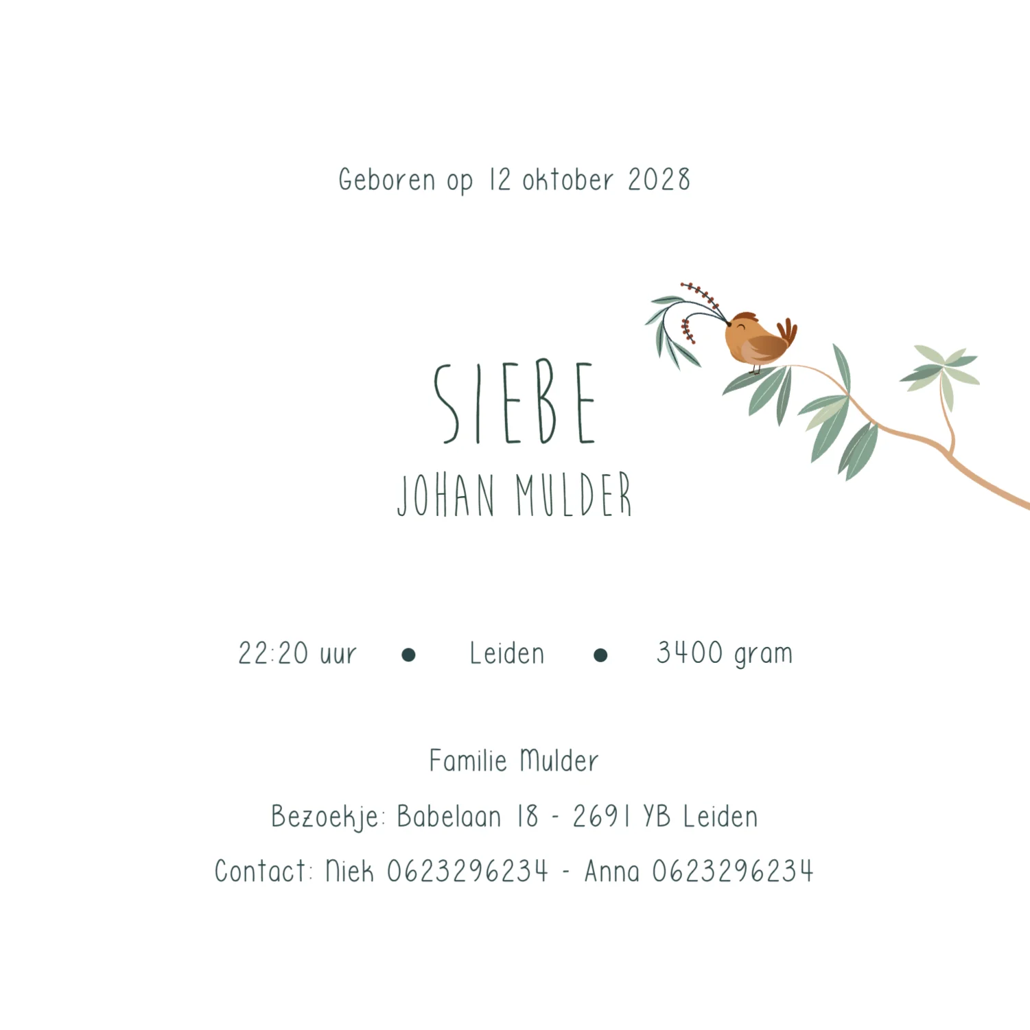 Bosdieren binnenkant