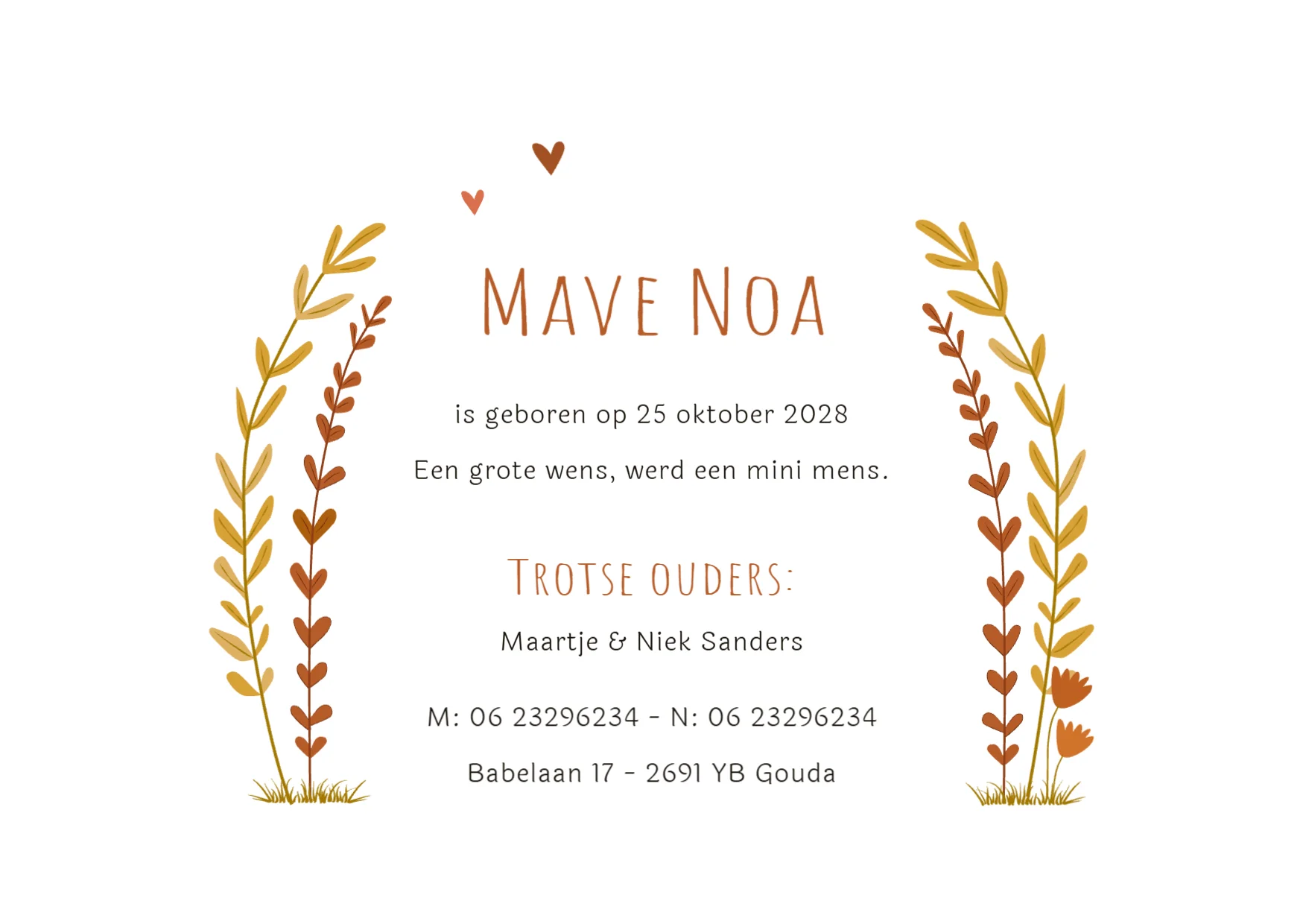 Waslijntje binnenkant