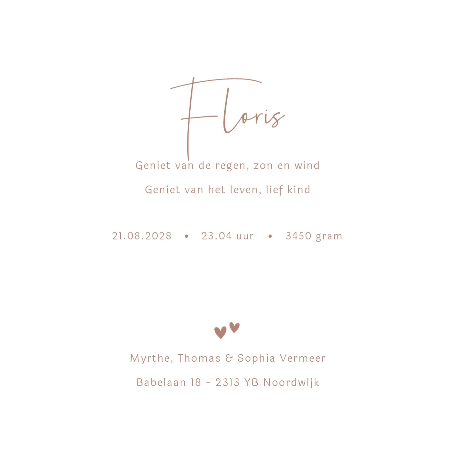 Silhouet met bakfiets - Terug