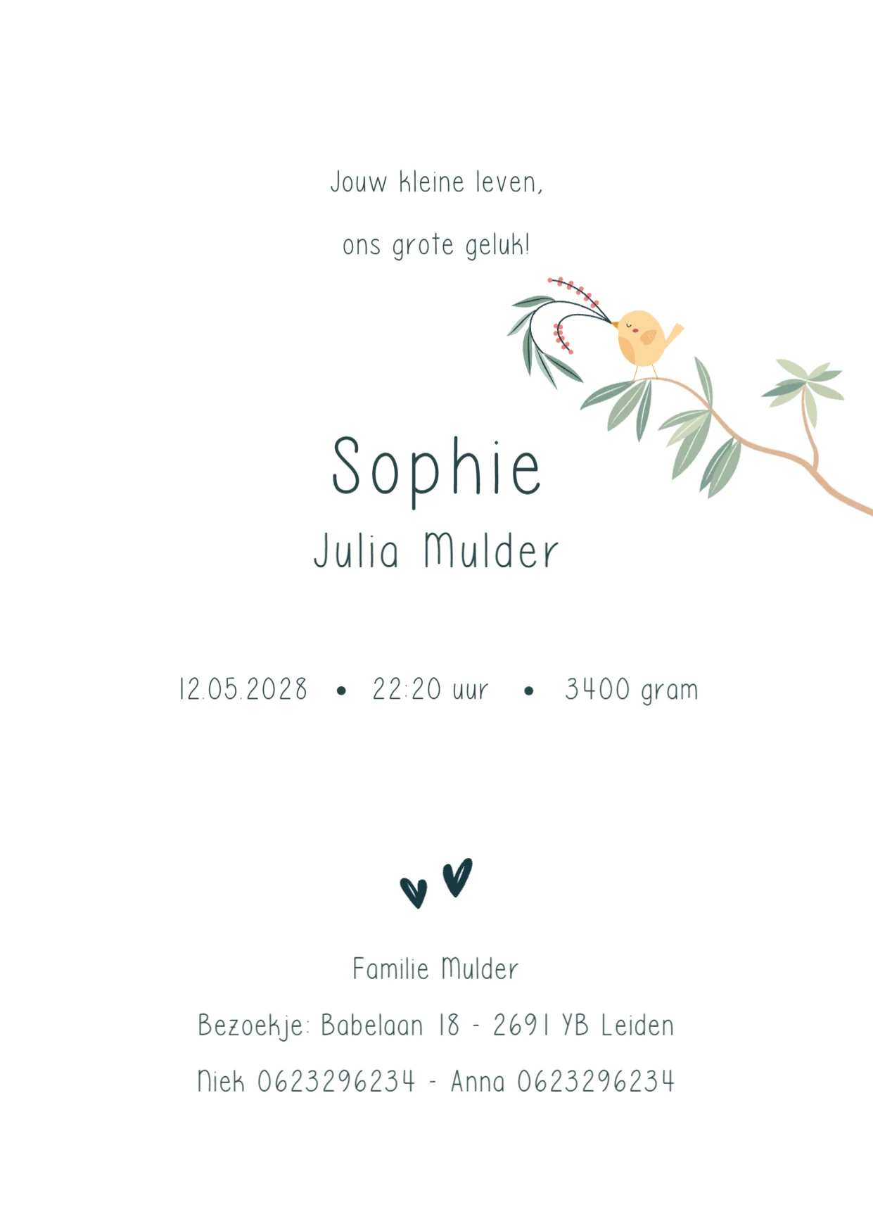 Vogeltjes in krans - Terug