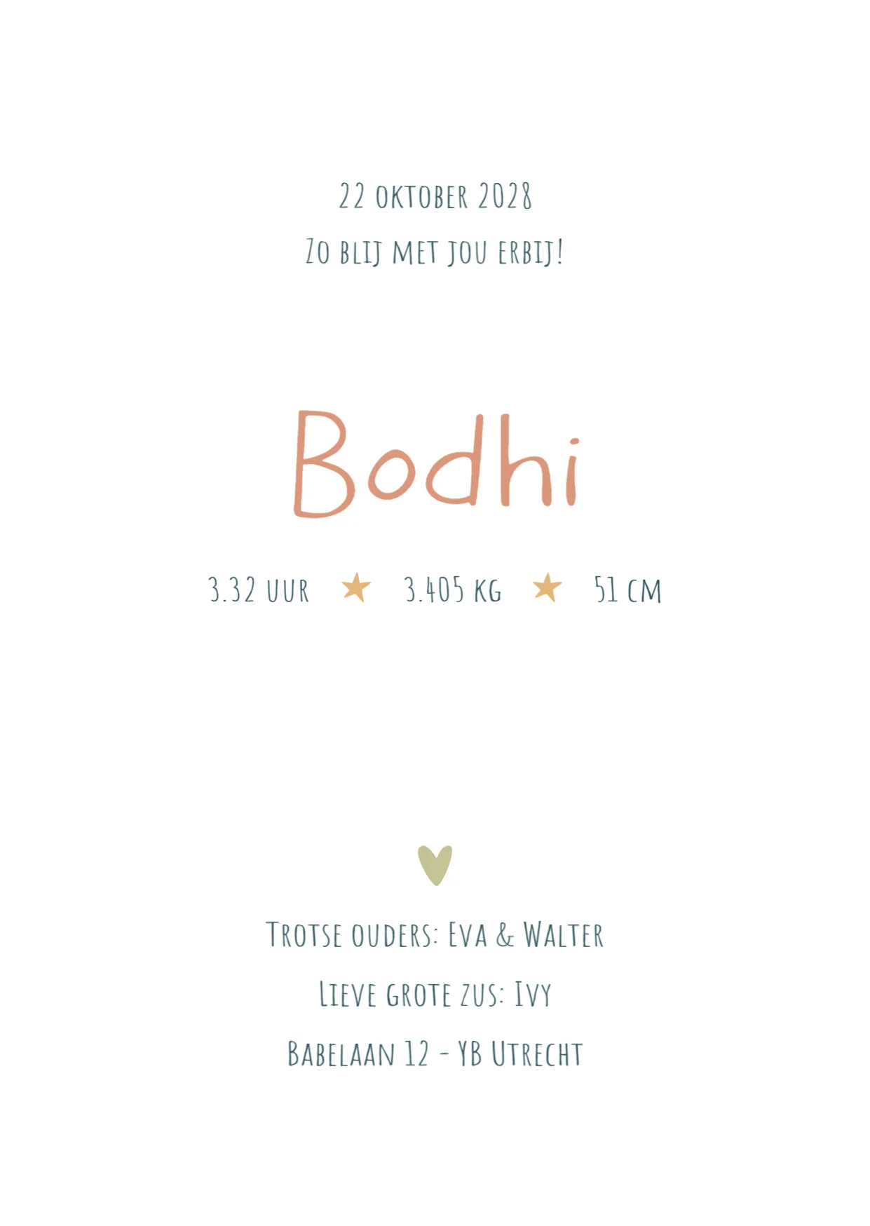 Patroon van regenboogjes en palmbomen - Terug