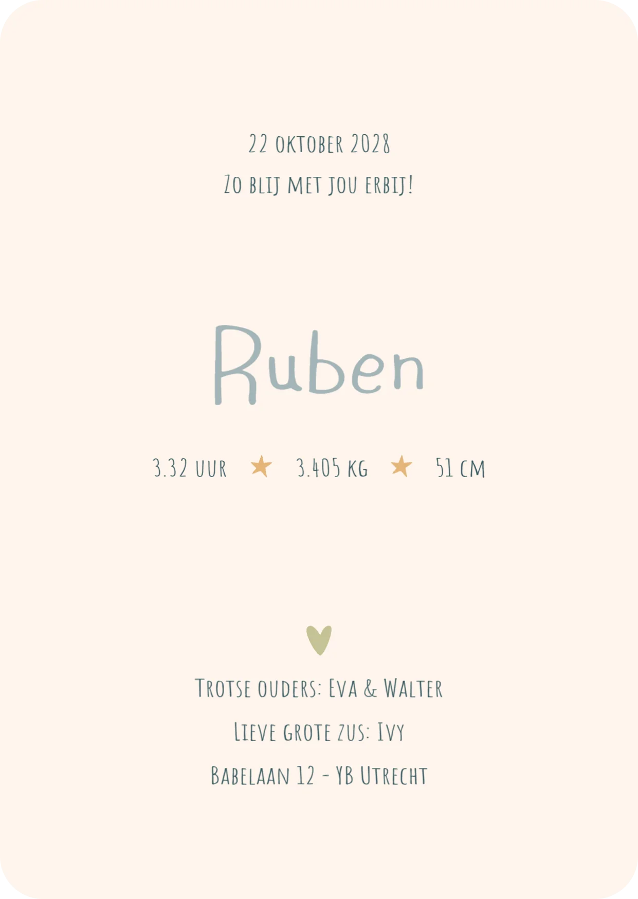 Patroon van regenboogjes en palmbomen - Terug