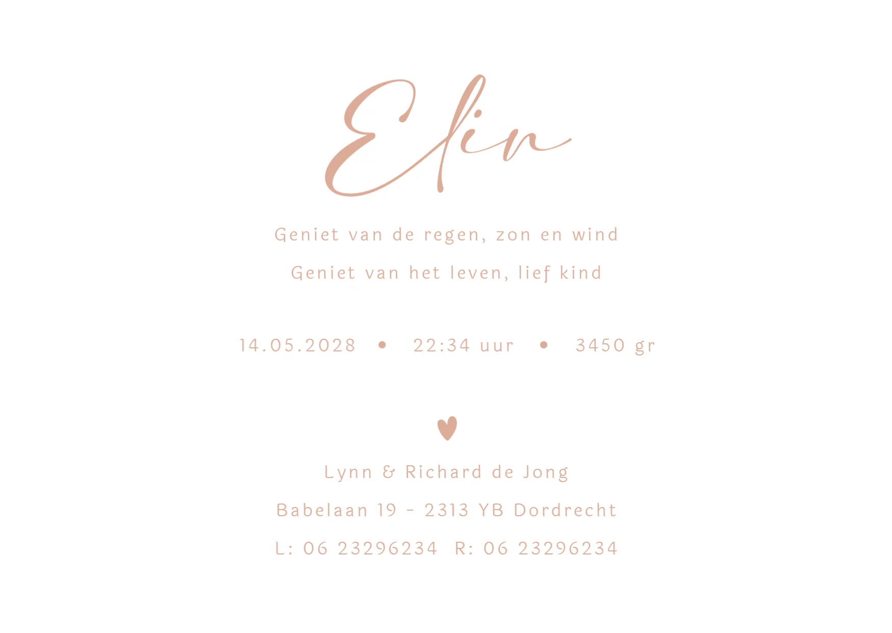 Minimalistisch - Terug