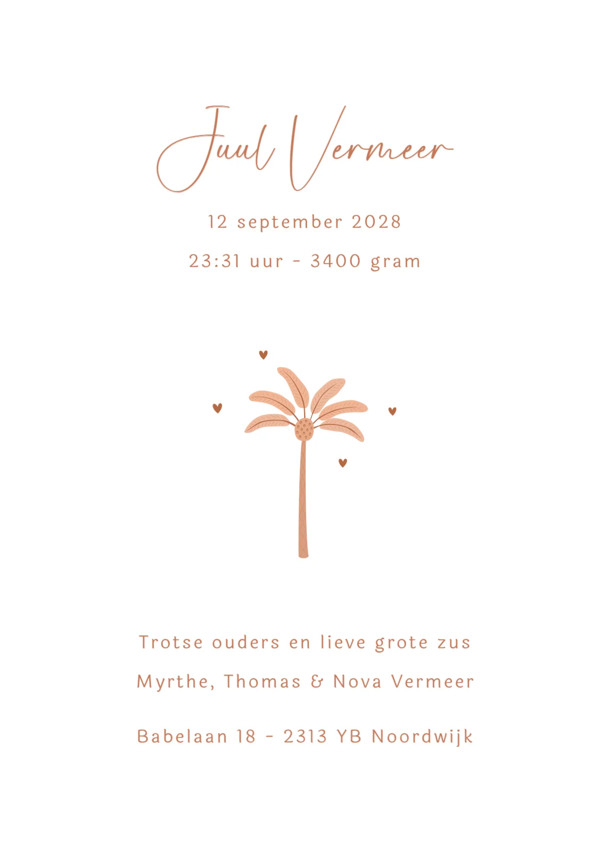 Palmboom onder sterrenhemel - Terug