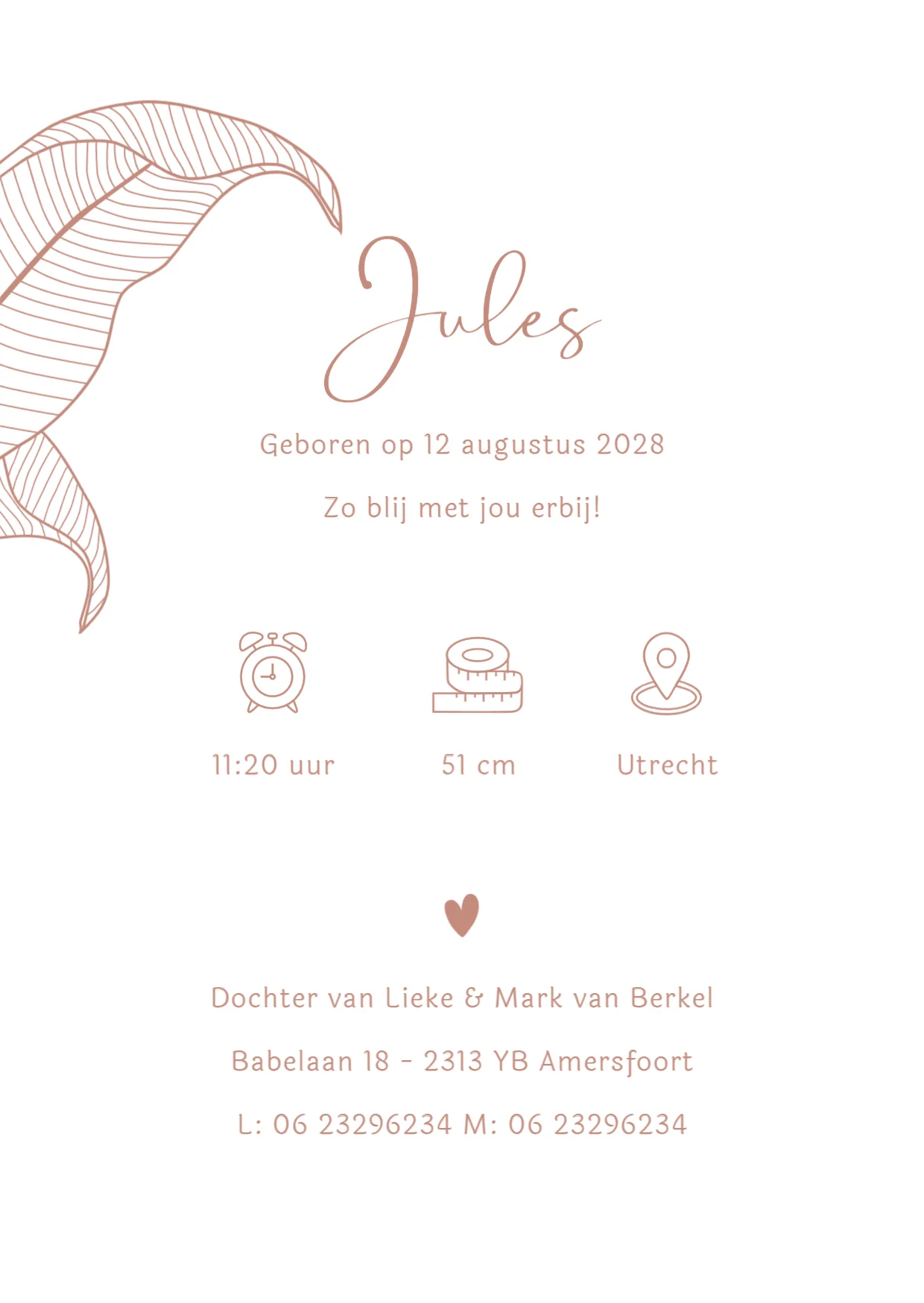 Giraf en aapje met baby binnenkant