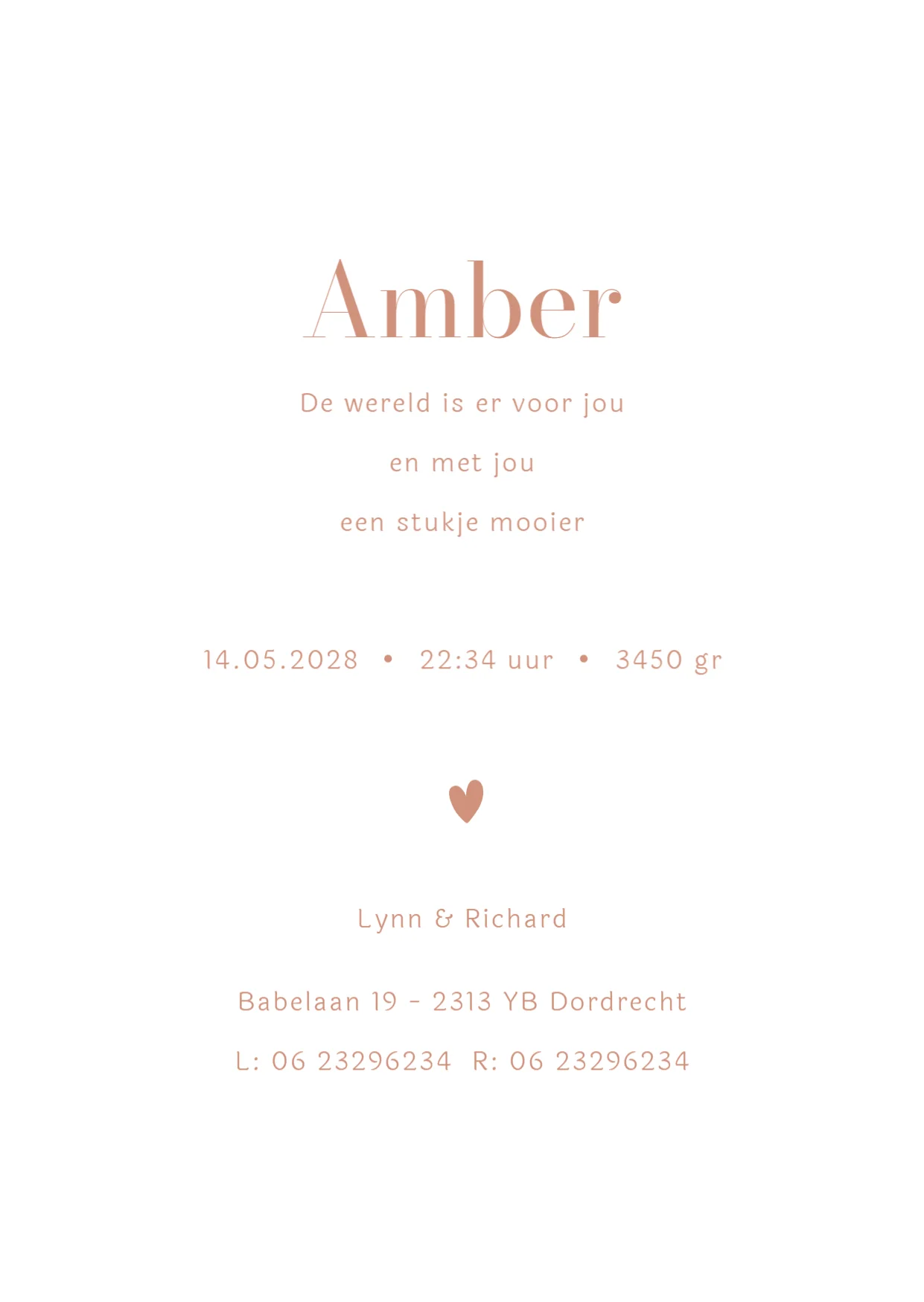 Initiaal voor een meisje - Terug