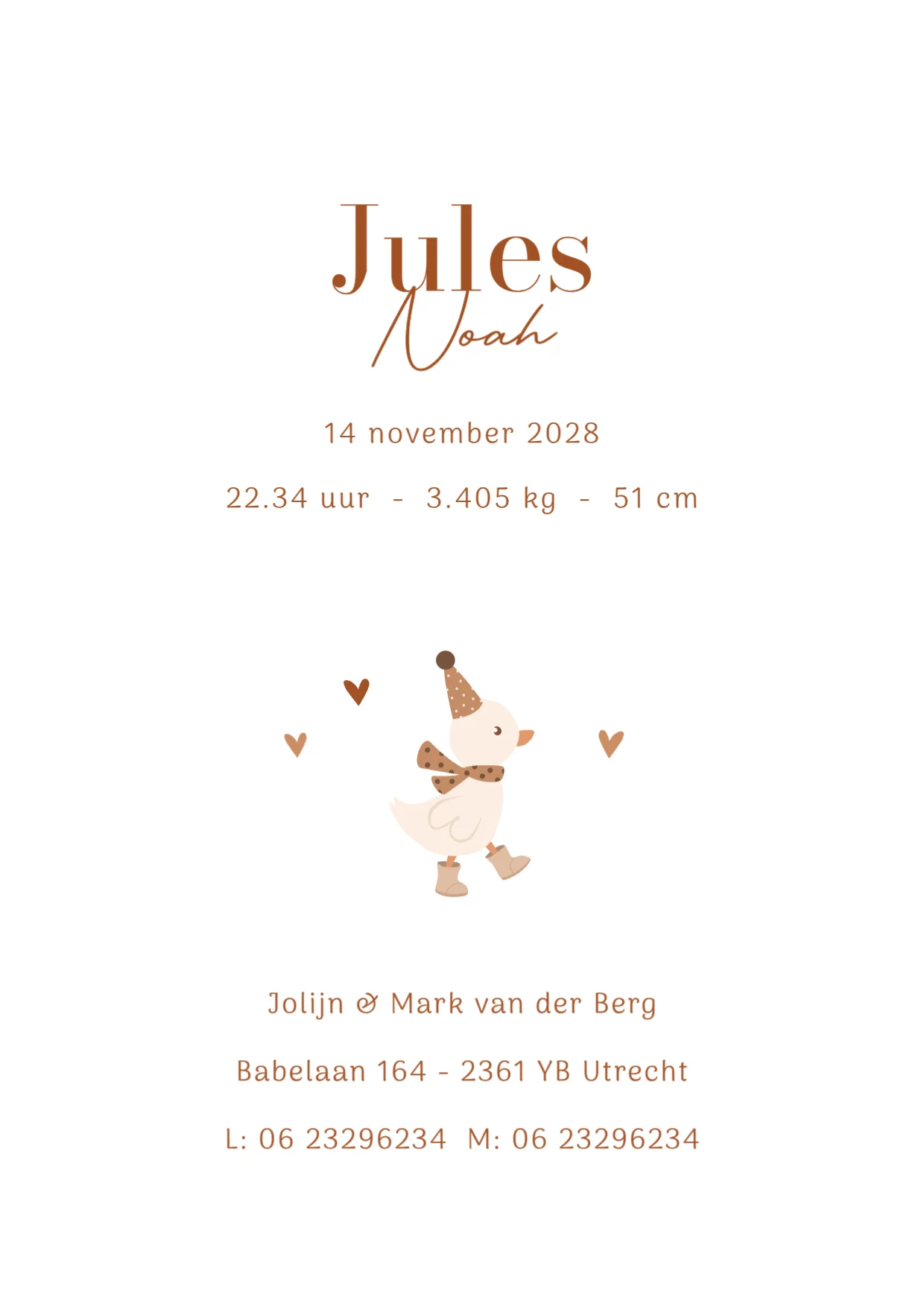 Gansje met feestmuts binnenkant