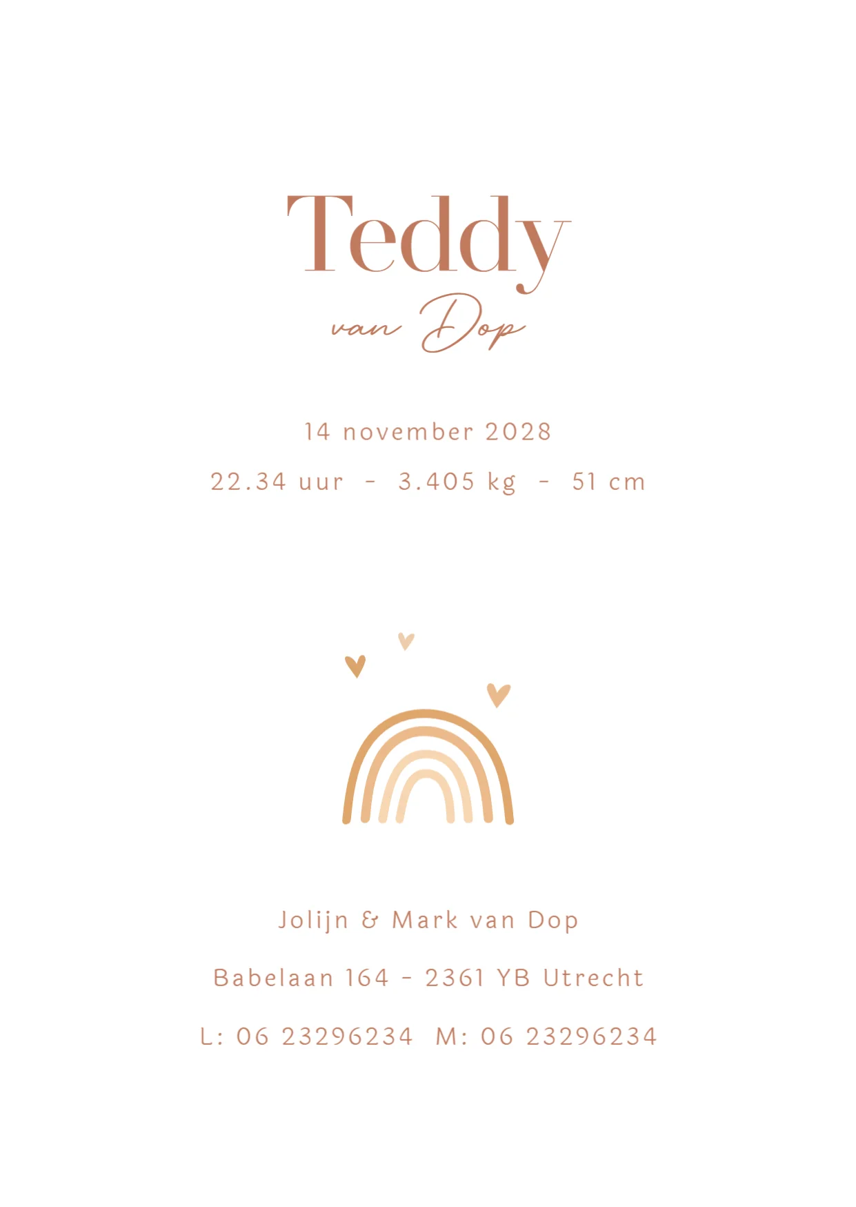 Gans met baby - Terug