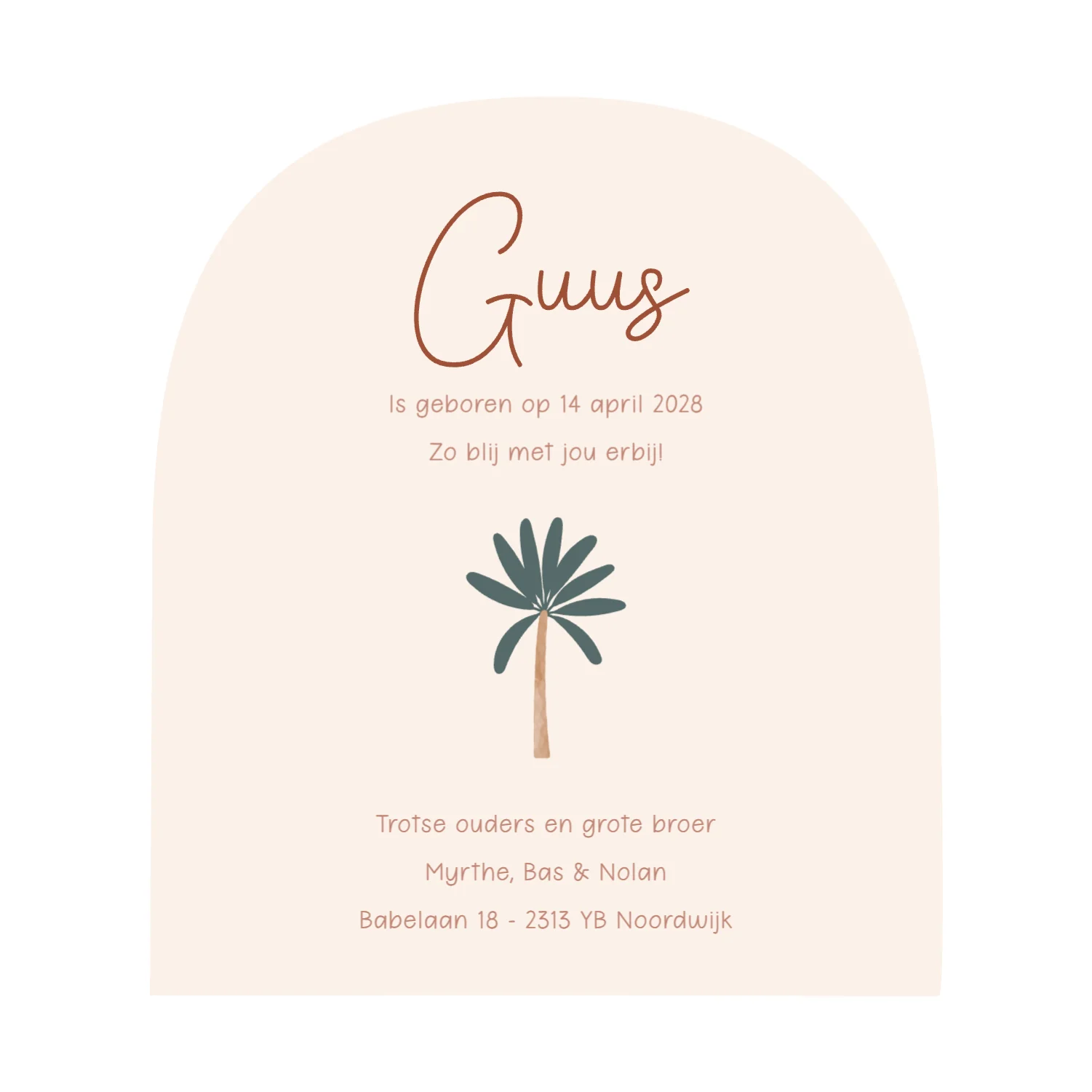 Broertjes op avontuur binnenkant