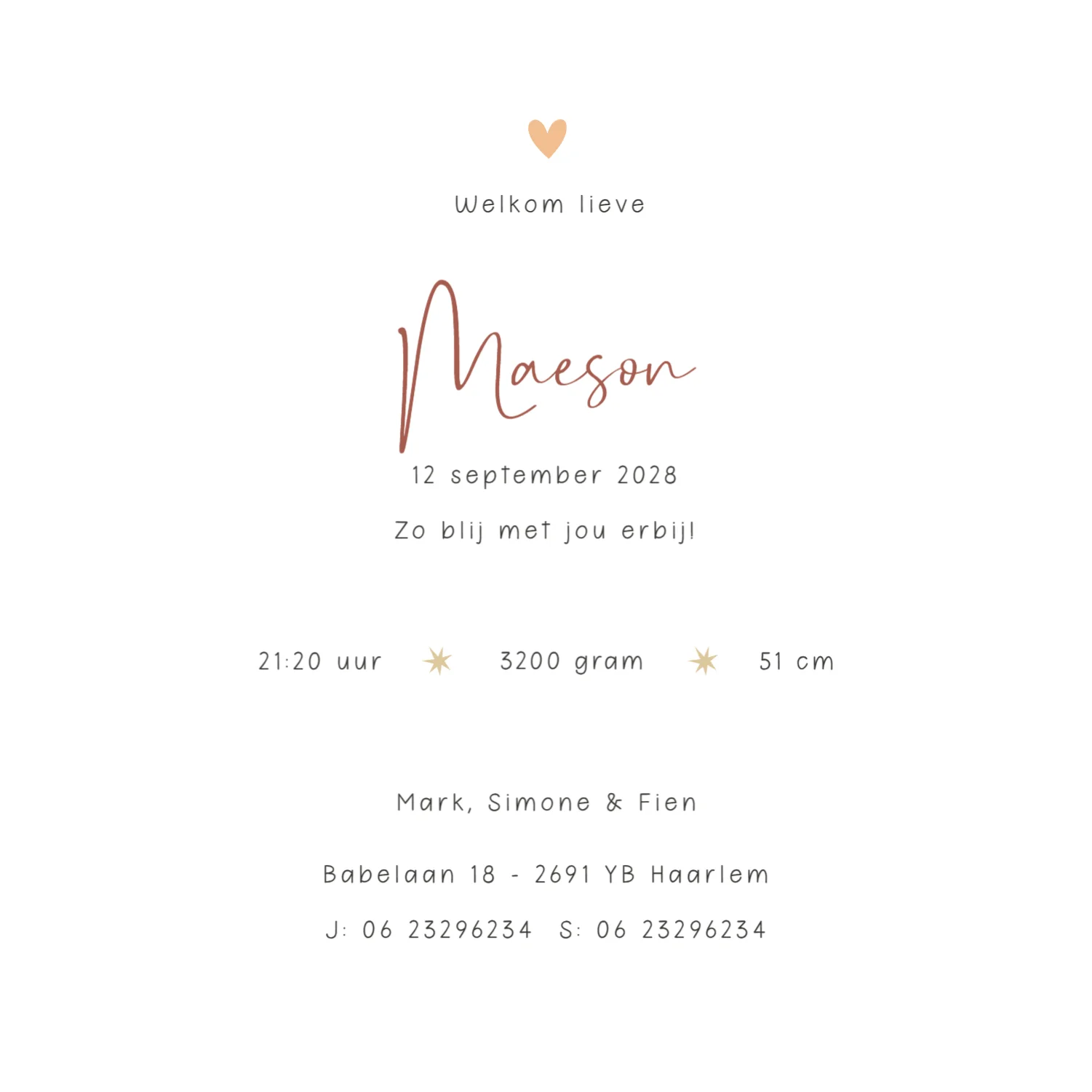 Leeuw met groen bolletjeskader binnenkant