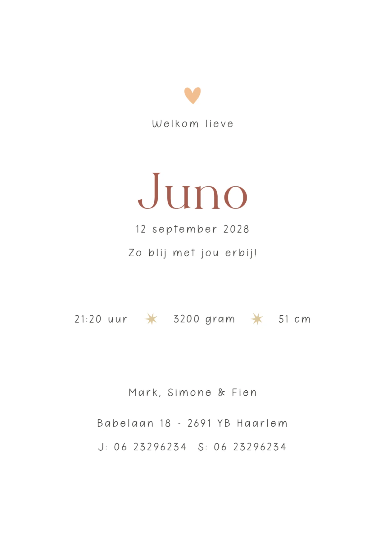 Leeuw met groen bolletjeskader binnenkant