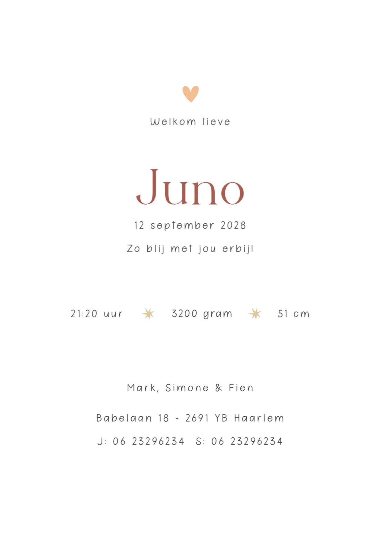 Leeuw met groen bolletjeskader - Terug