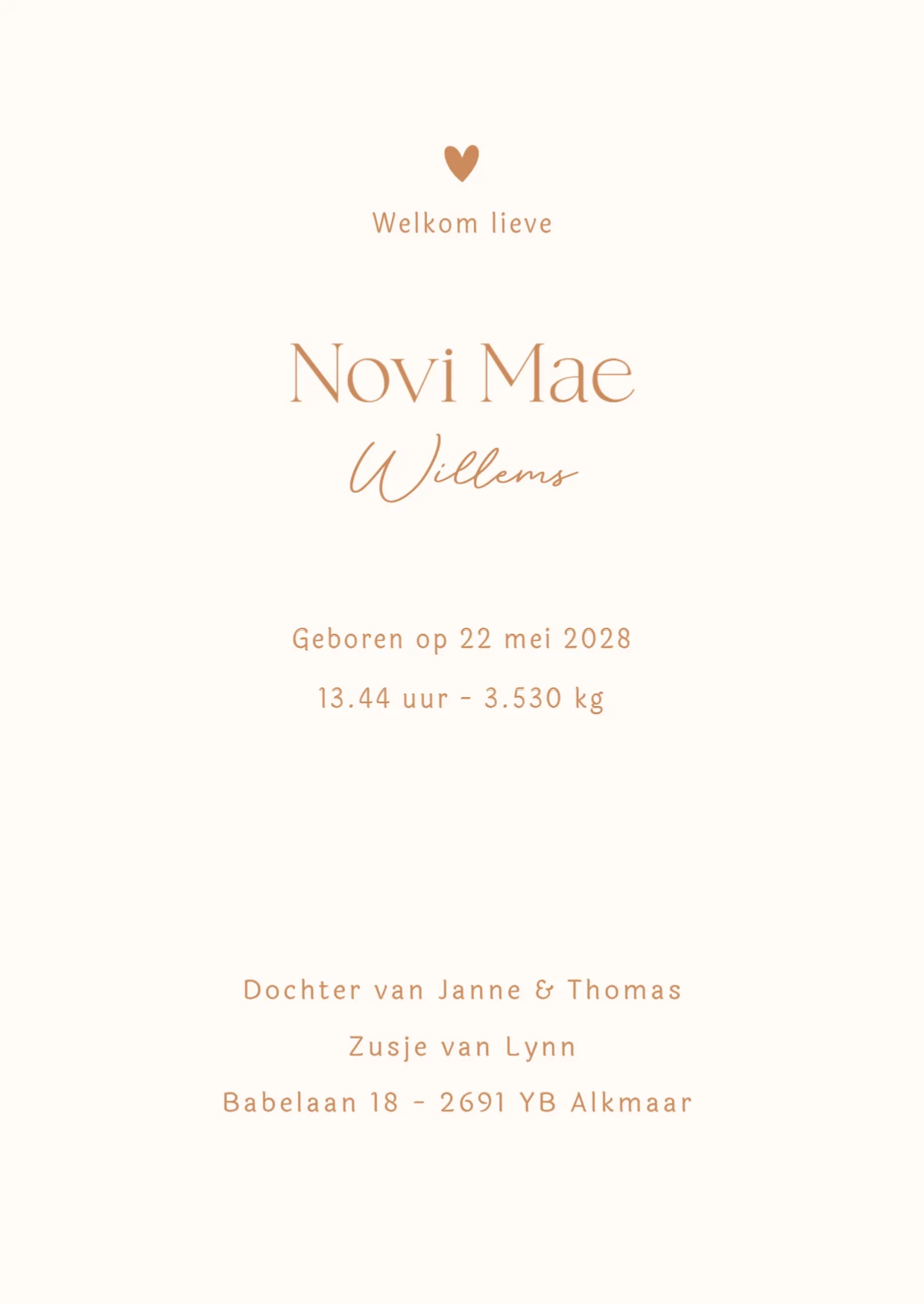 Grote broer met baby binnenkant