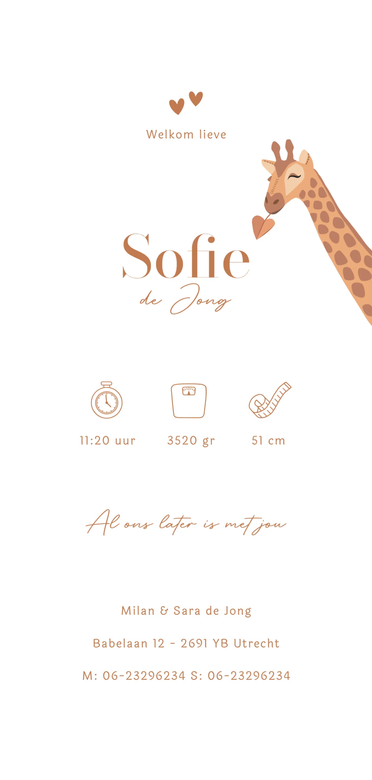 Giraf met baby - Terug