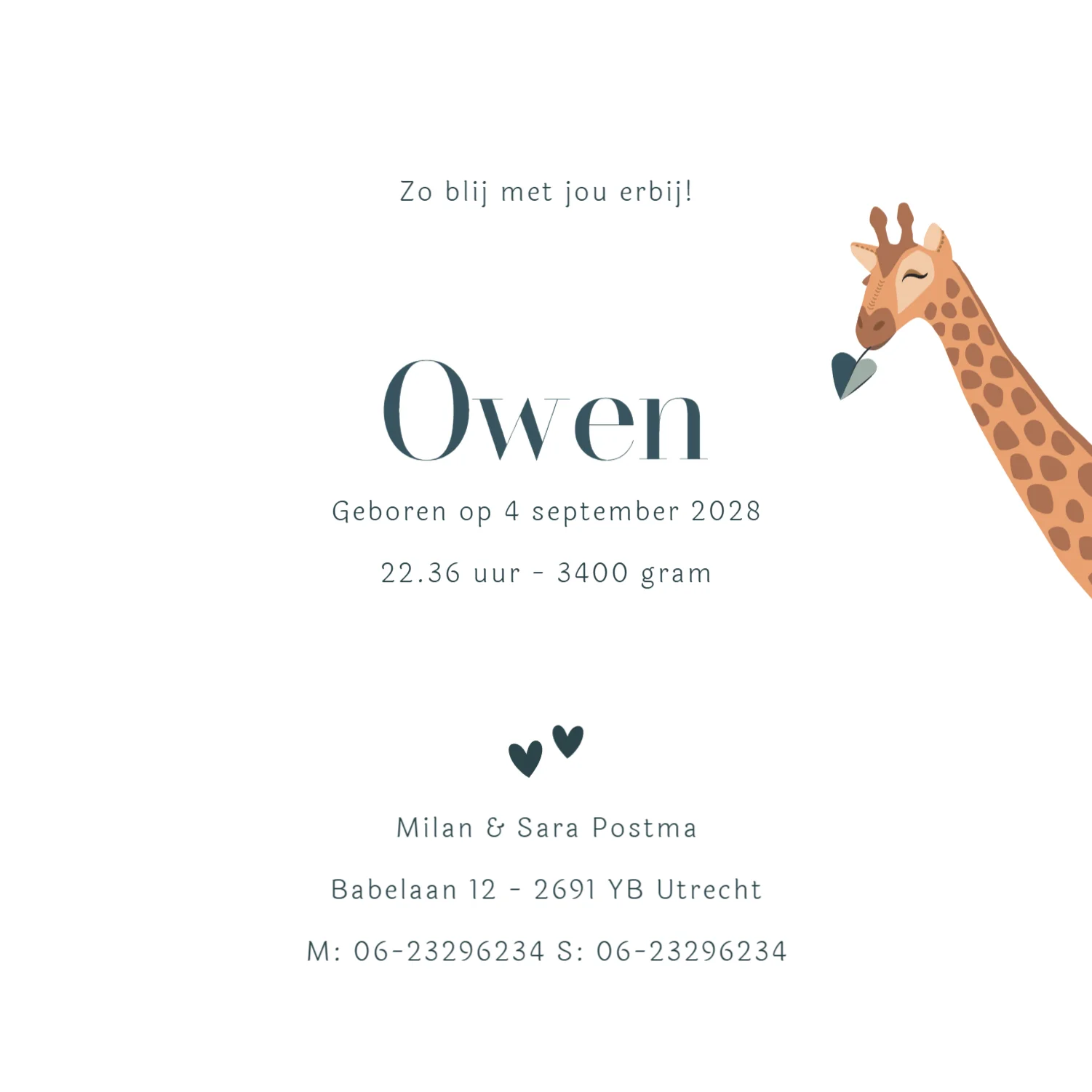 Giraf met baby in draagdoek binnenkant