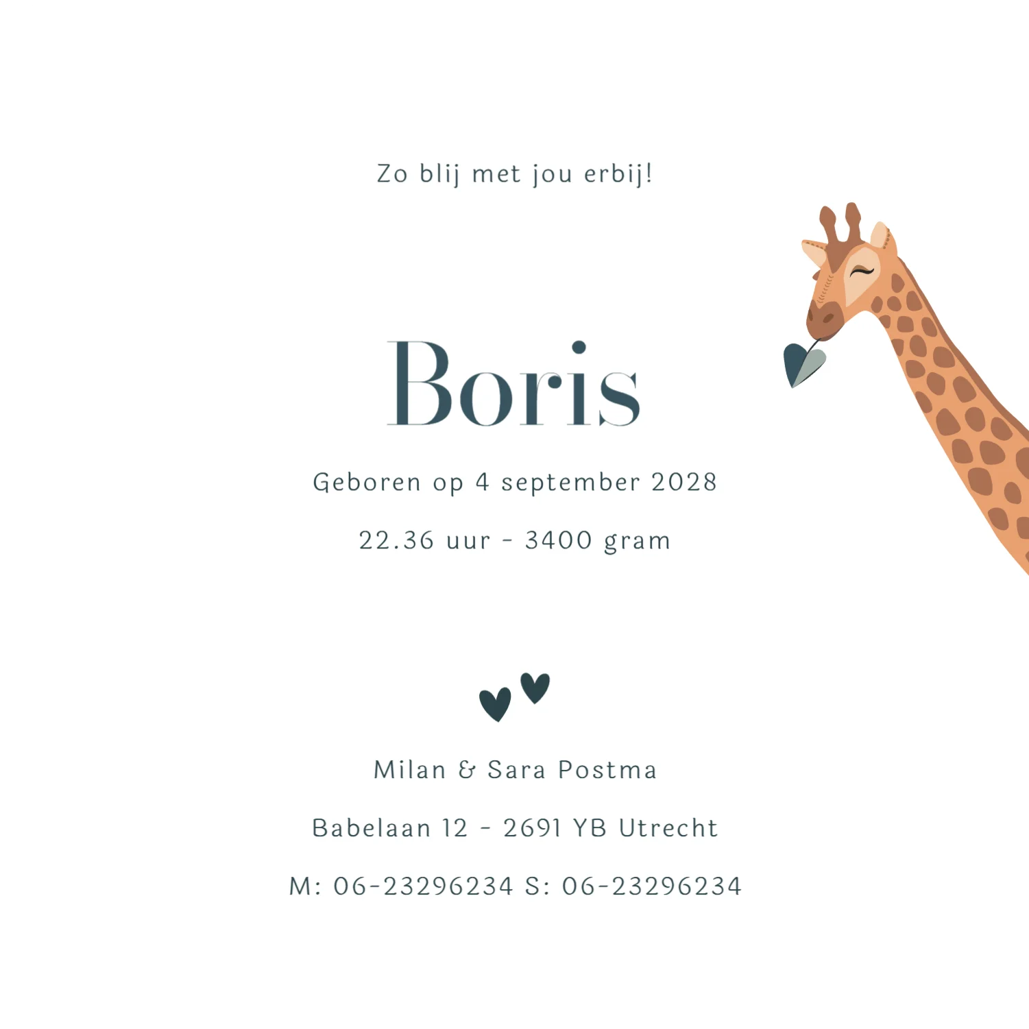 Giraf met baby in draagdoek - Terug