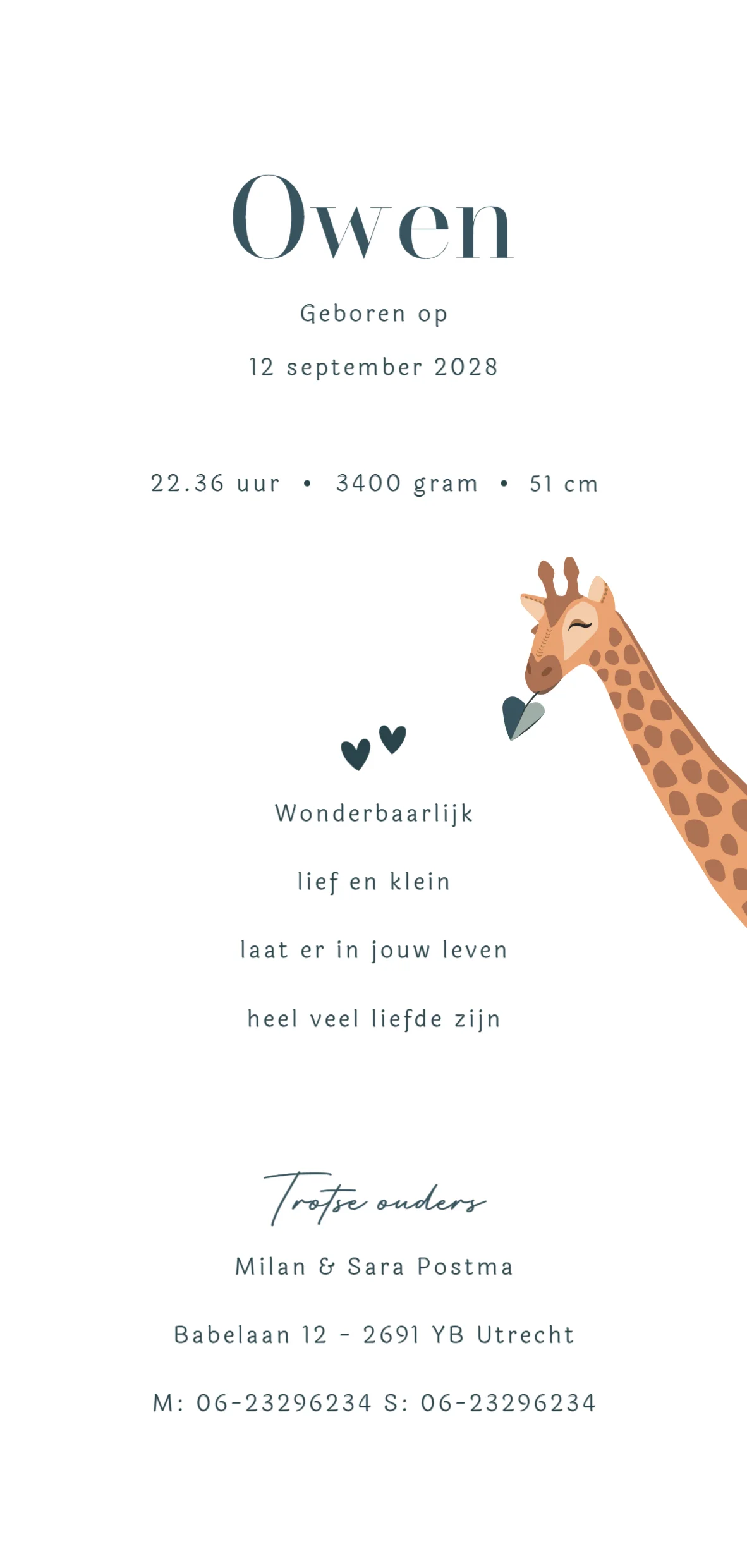 Giraf met baby - Terug