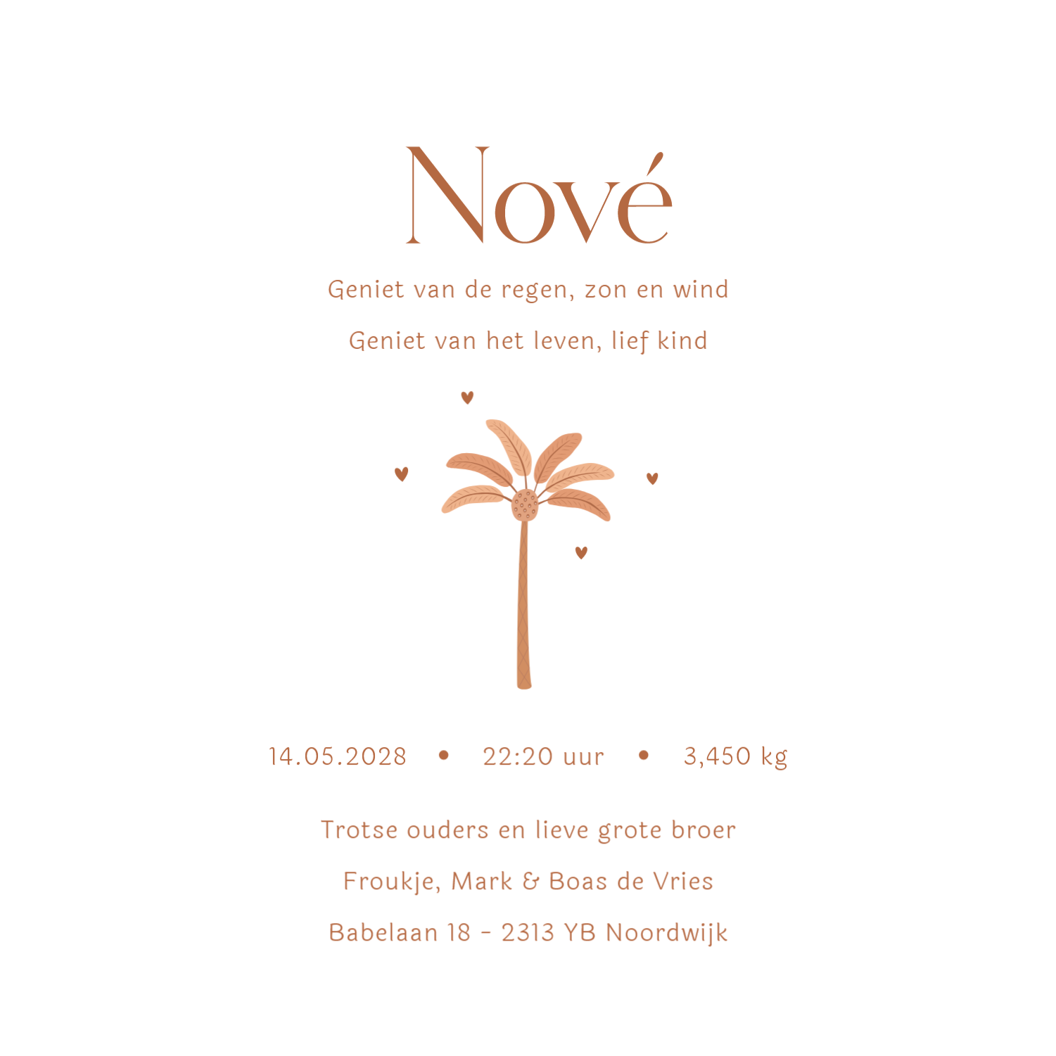 Geboortekaartje met giraf en grote zus - Terug