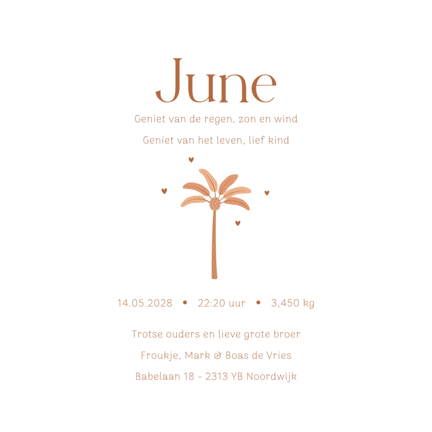 Giraf met grote broer en baby zusje - Terug