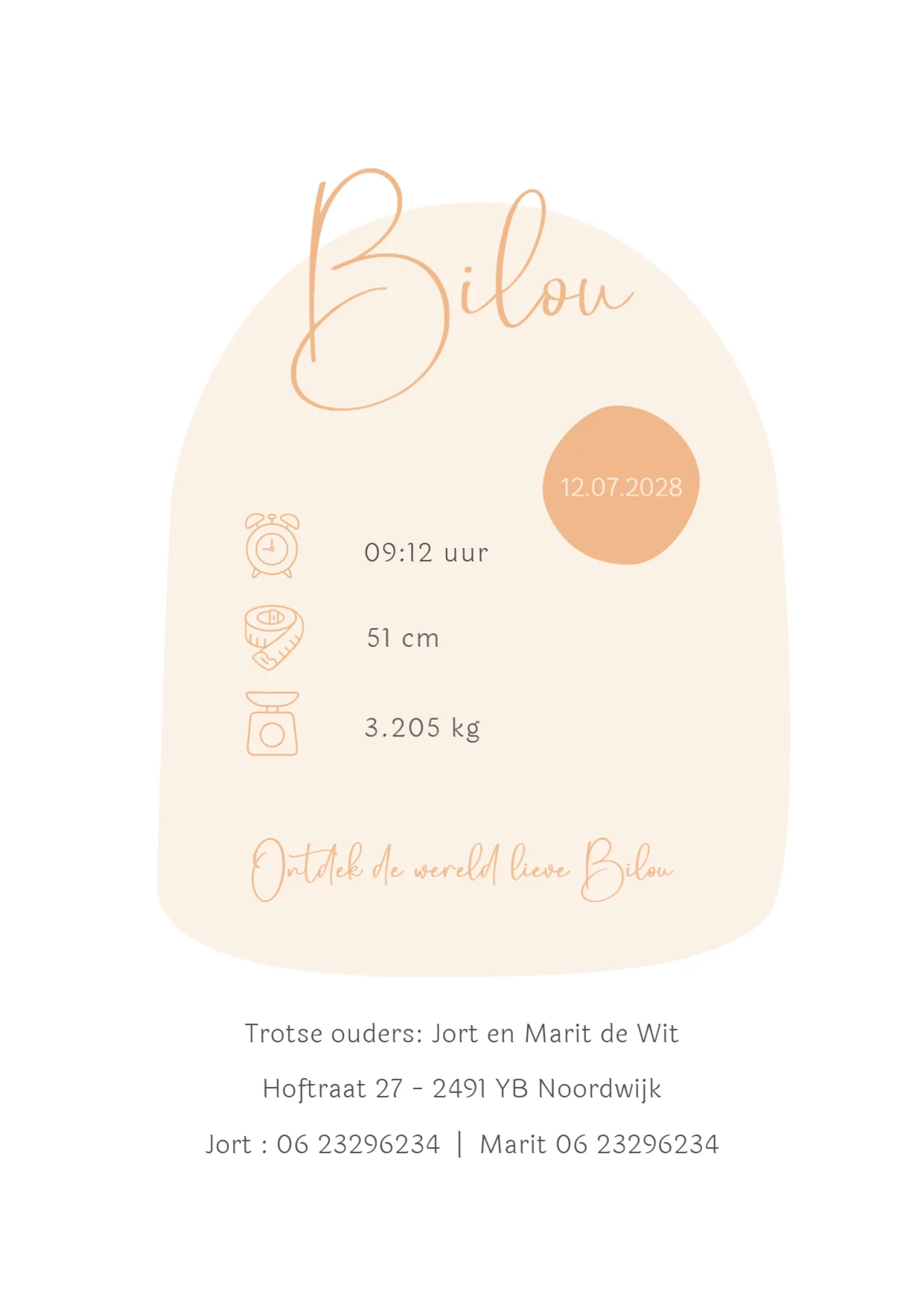 Eiland met palmboompjes - Terug