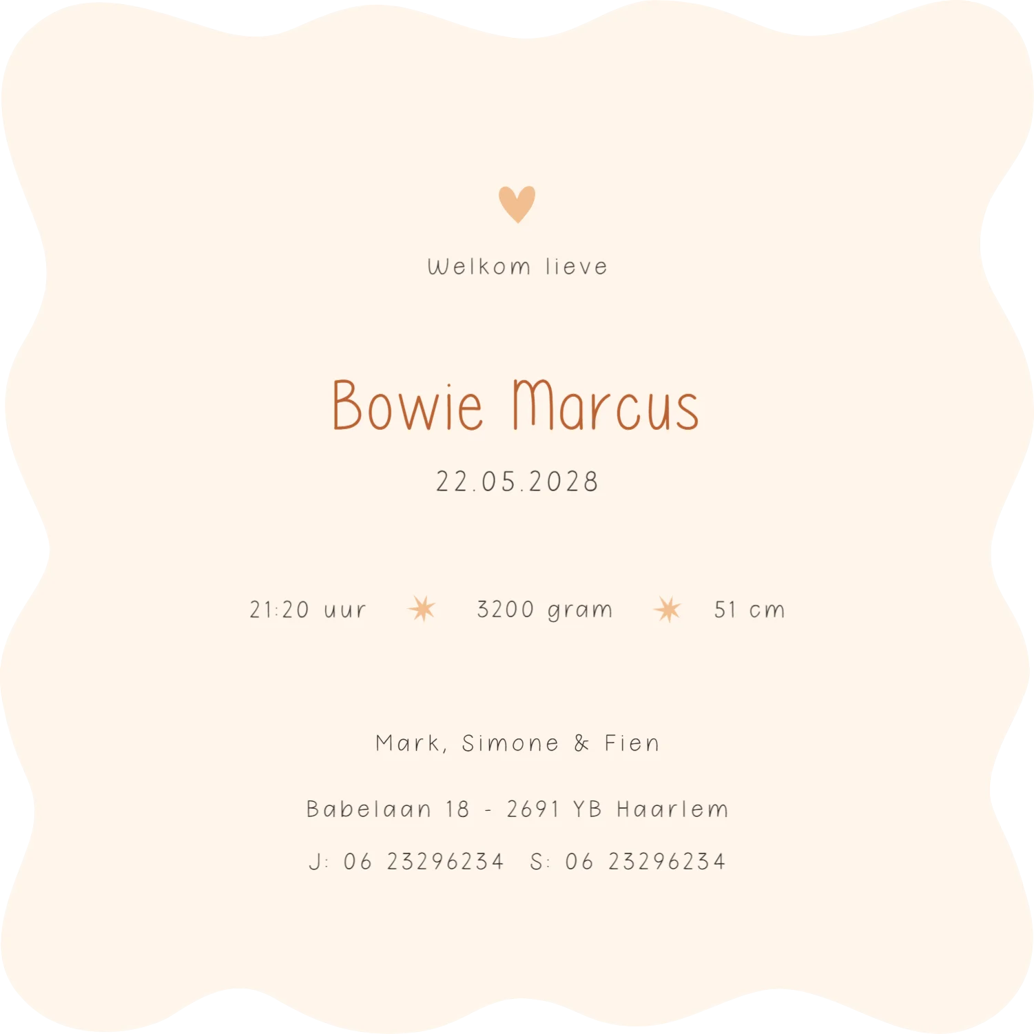 Vrolijke Dierenparade op Fiets - Terug