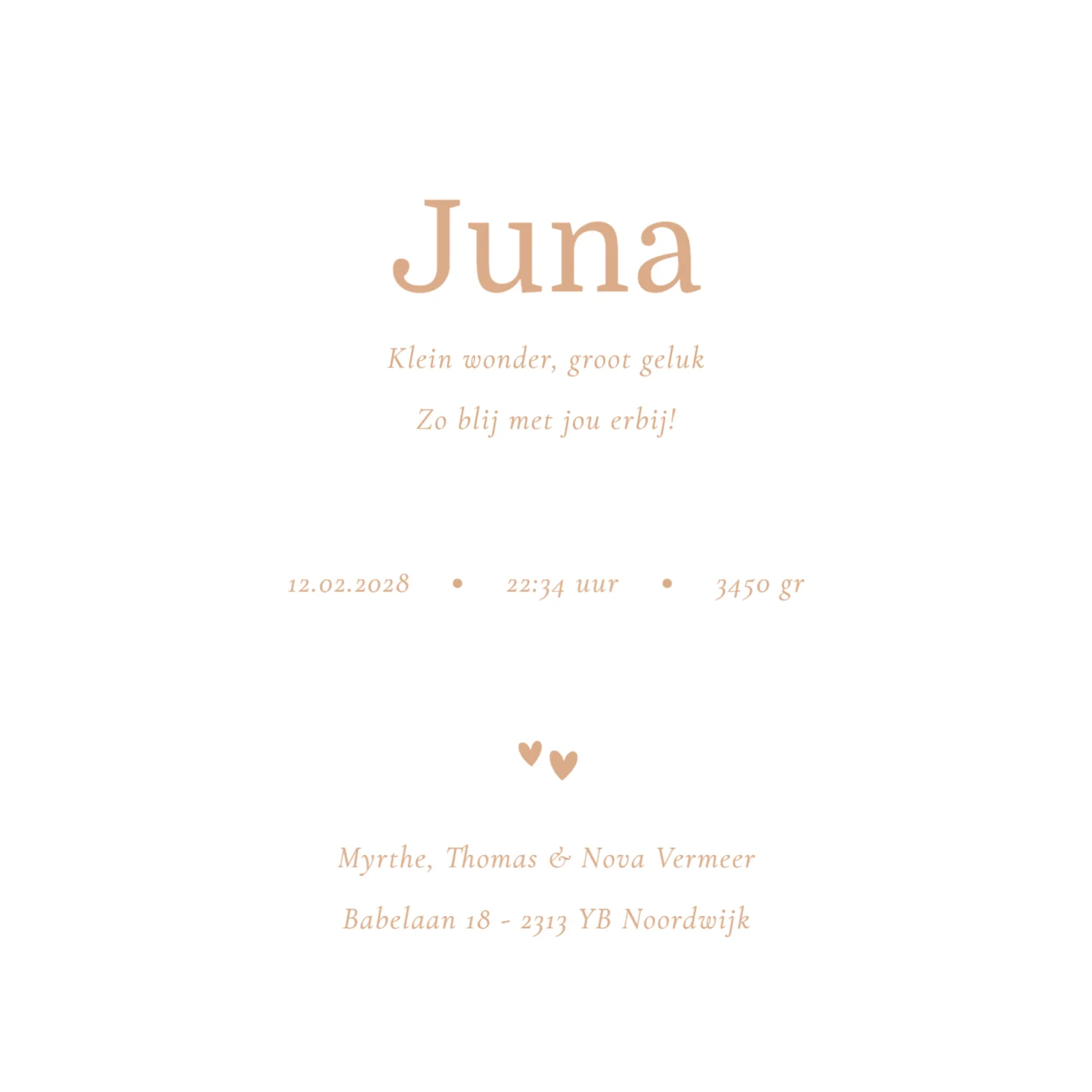 Juna Boho Zomer Patroon binnenkant